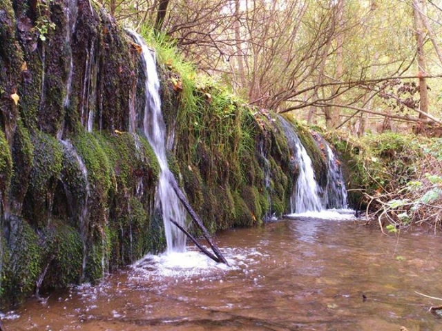 Descubre Burgos
